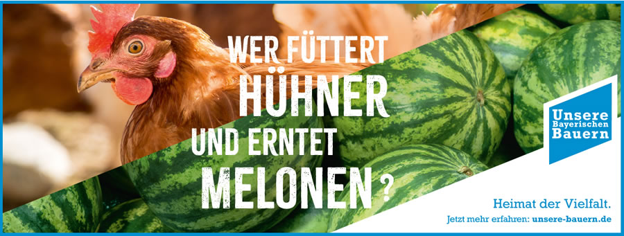 UBB Motiv04Quer HuhnMel